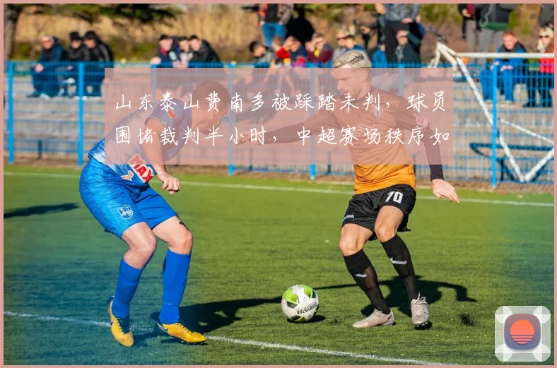 山东泰山费南多被踩踏未判，球员围堵裁判半小时，中超赛场秩序如何维护？